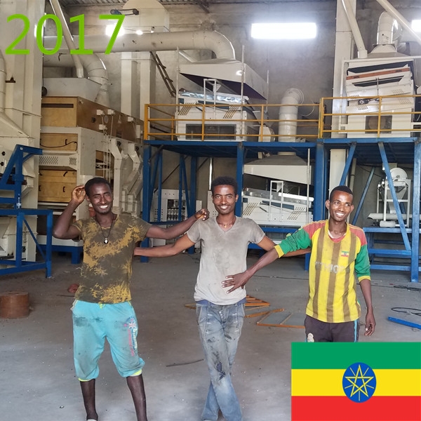 SYNMEC 7T/H Sesame and 12T/H Pulses Cleaning Plant In Ethiopia At 2017