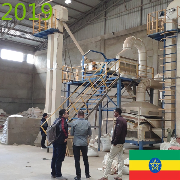 SYNMEC 7T/H Sesame and 12T/H Pulses Cleaning Plant In Ethiopia At 2019
