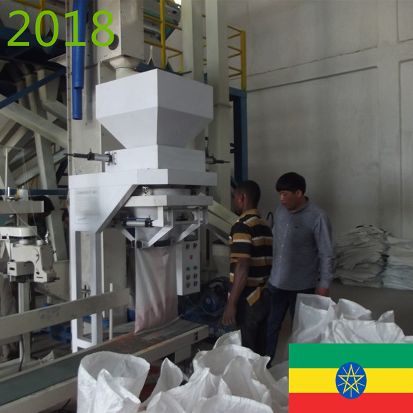 SYNMEC 5T/H Sesame and 8T/H Pulses Cleaning Plant In Ethiopia At 2018
